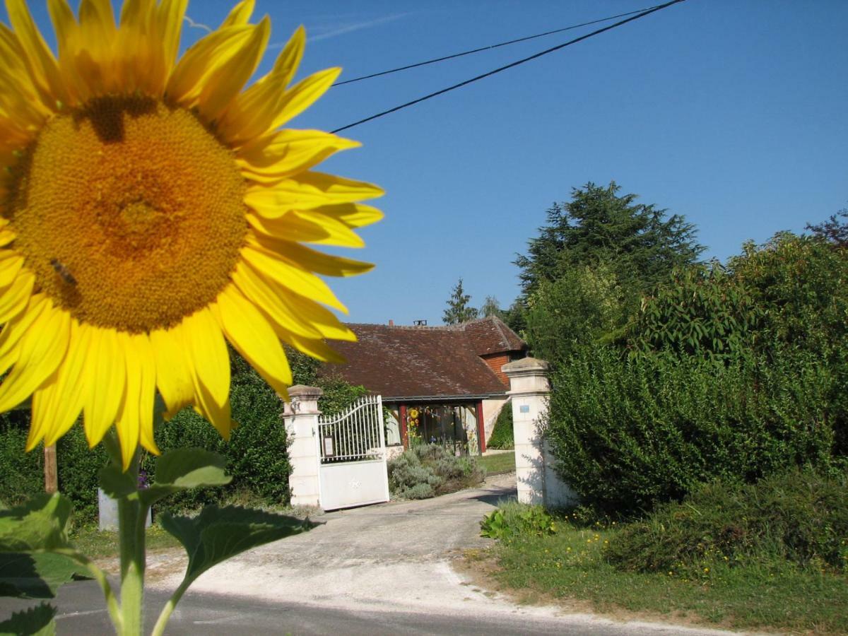 Le Clos Du Petit Marray Bed & Breakfast Chambourg-sur-Indre Exterior photo